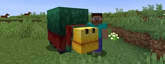 Minecraft 1.20