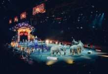 10 Must-Have Elements for a Niles Garden Circus tickets