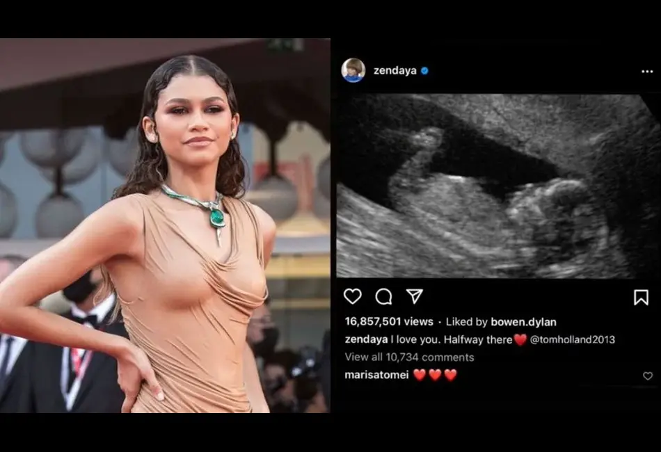 Zendaya Pregnant