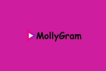 Mollygram Story Viewer