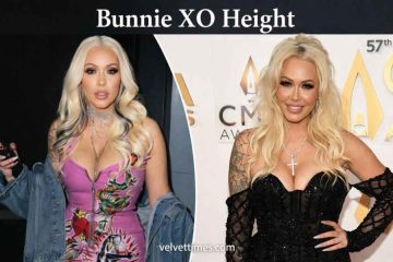 Bunnie XO Height